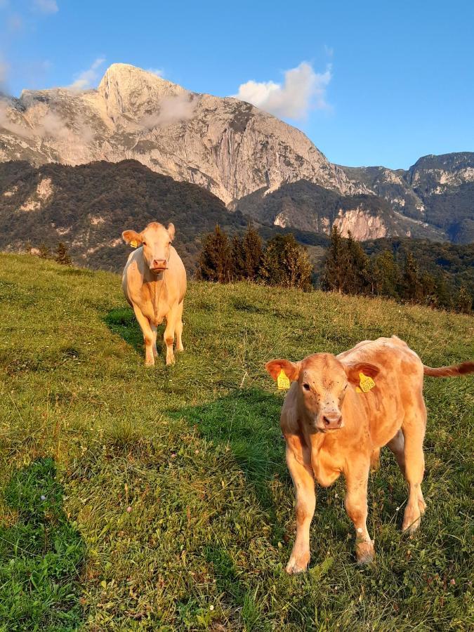 Tourist Farm Zvanc Kobarid Kültér fotó