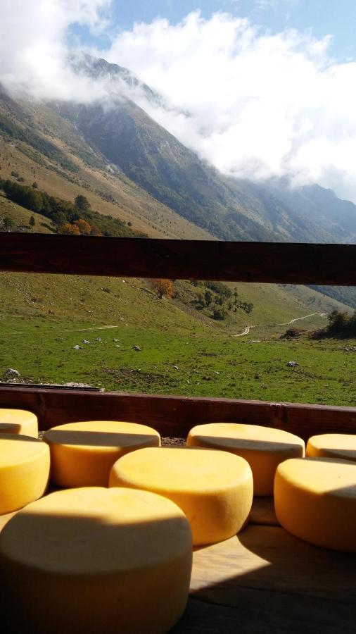 Tourist Farm Zvanc Kobarid Kültér fotó