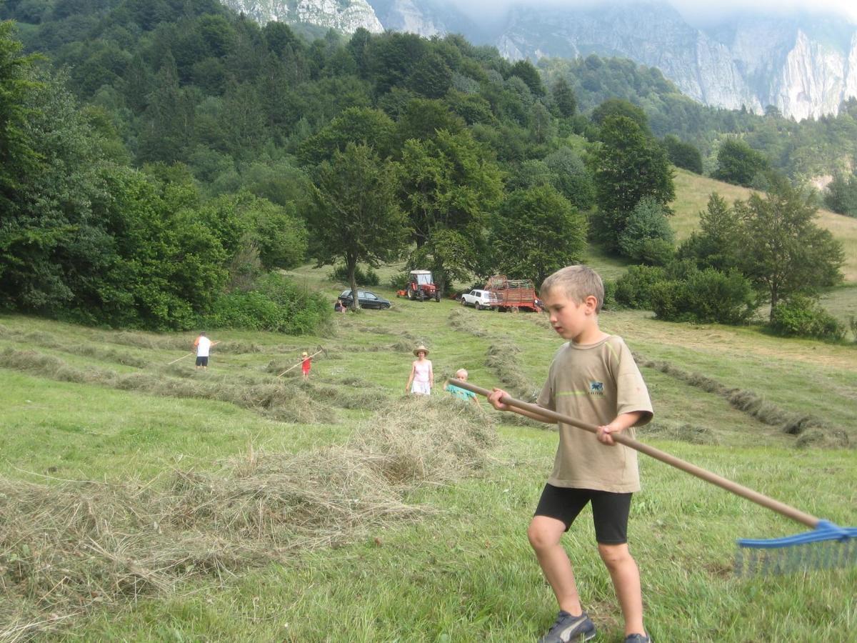 Tourist Farm Zvanc Kobarid Kültér fotó