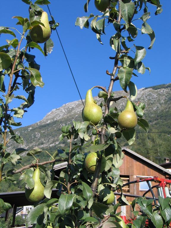 Tourist Farm Zvanc Kobarid Kültér fotó